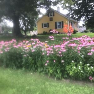 Meet your Posher, Marsha